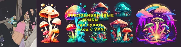 apvp Аркадак