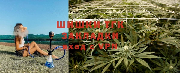 хмурый Арсеньев