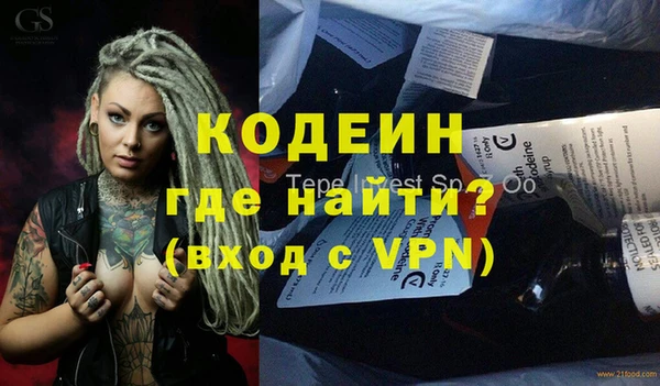 хмурый Арсеньев