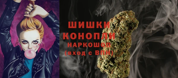 ешки Алзамай