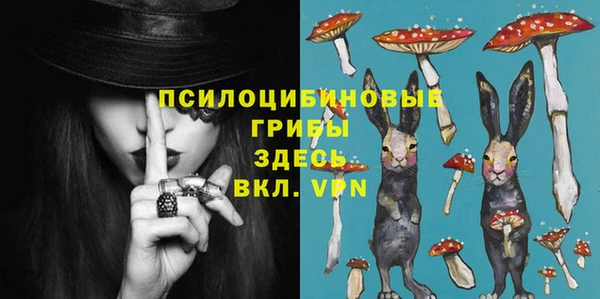 ешки Алзамай