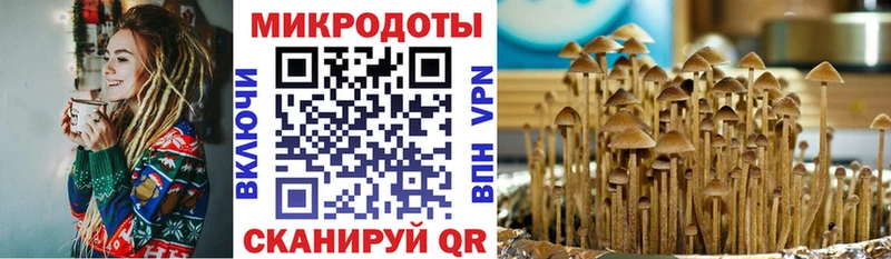 где продают   Чердынь  Псилоцибиновые грибы мицелий 